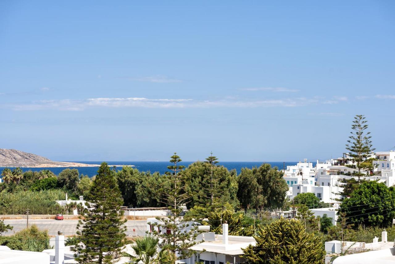 Hara'S Villa In Naousa , Paros Εξωτερικό φωτογραφία