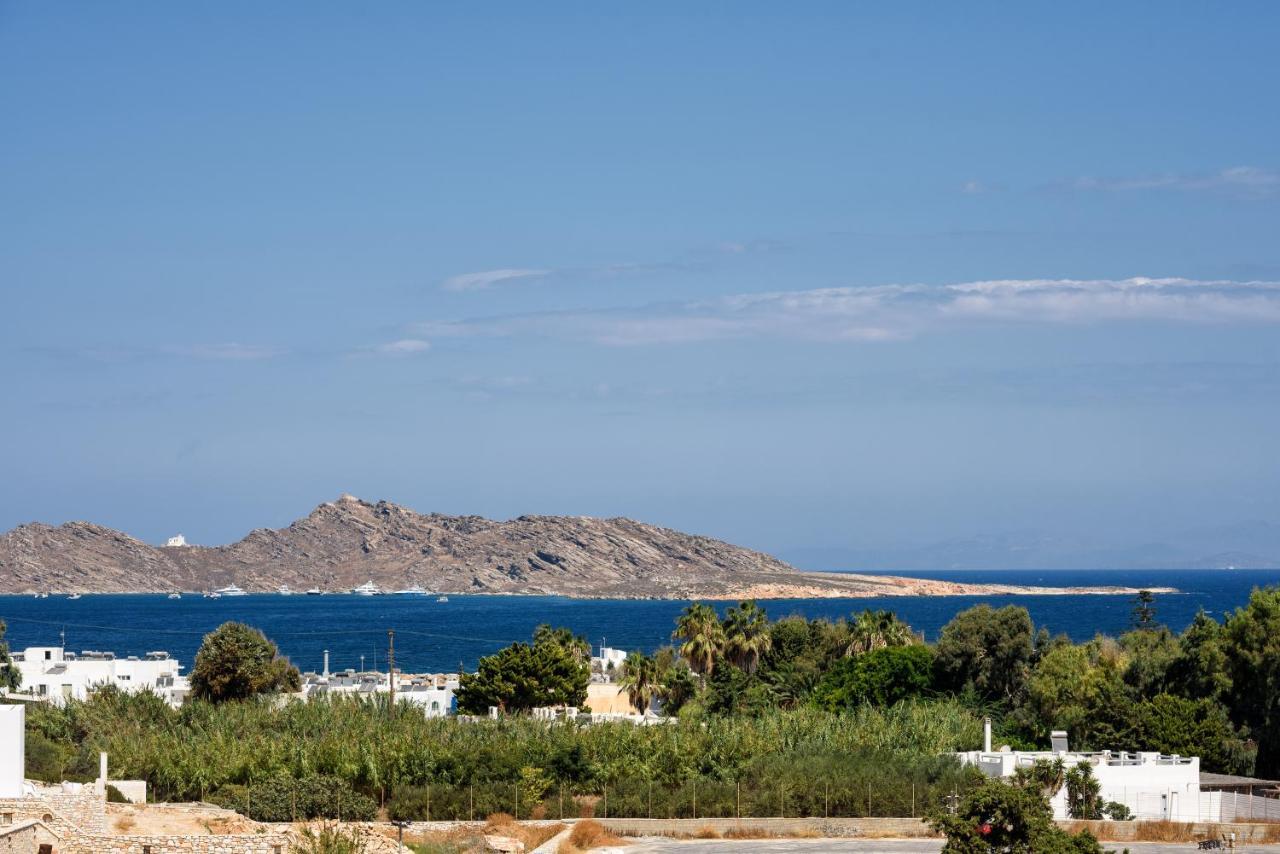 Hara'S Villa In Naousa , Paros Εξωτερικό φωτογραφία